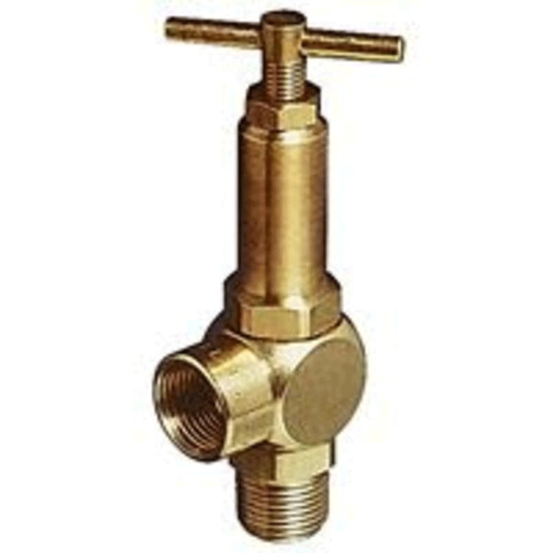 1/4 in. 300 PSI Brass Relief Valve Image