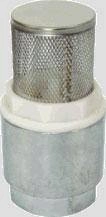 1 in. Foot Valve w/ Screen Image