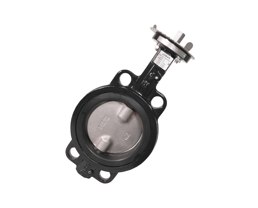 2 - 24 in. Epoxy-Coated Ductile Iron Body, Stainless Steel Disc