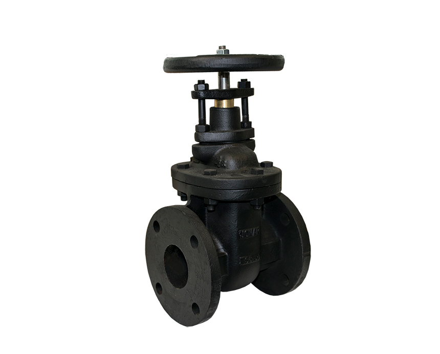 2-1/2 - 8 in. Bolted Bonnet, Non-Rising Stem, Solid Wedge, Class 125