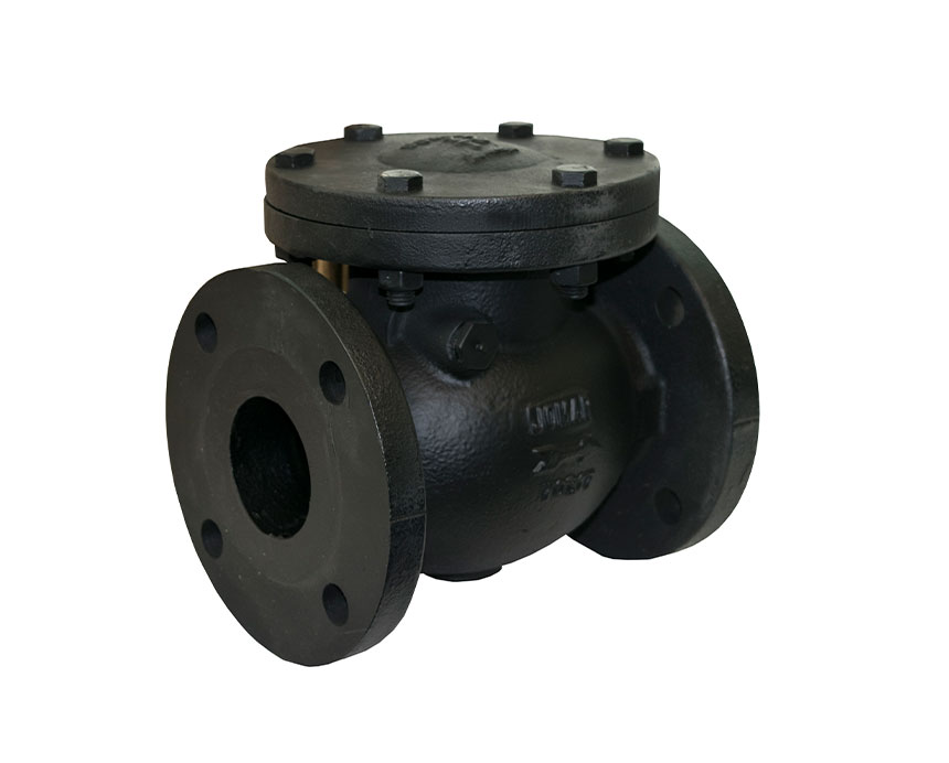 2-1/2 - 12 in. Horizontal Swing, Bolted Bonnet, Class 125