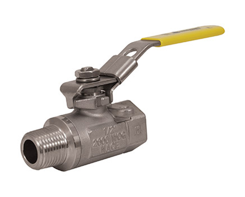 1/4 - 1 in. Standard Port, 2 Piece, Male x Female Connection, 2000 WOG, Stainless Steel Ball and Stem