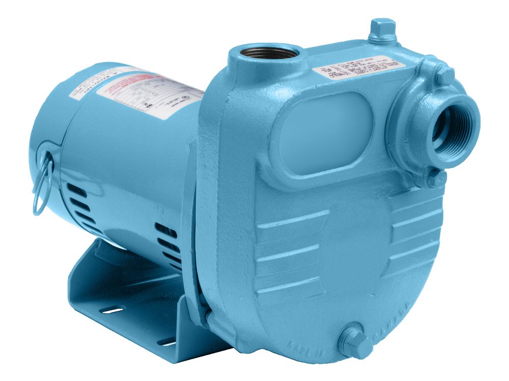 115/230 VAC, 1/2 or 3/4 HP, 1.25 in. Discharge