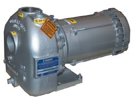 2 in. Inlet/Outlet, Cast Iron, 3/4 HP, Single or Three Phase, 0.34 in. Solid Handling