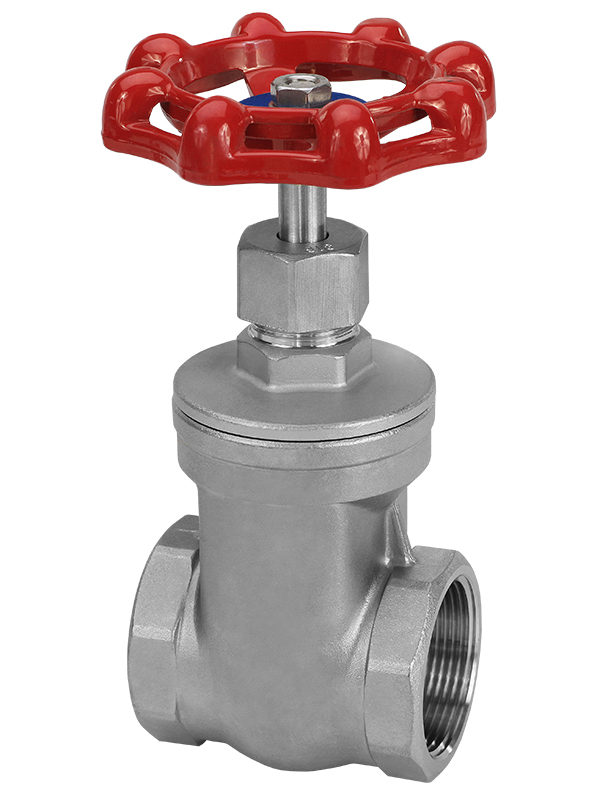2 in., 316 Stainless Steel